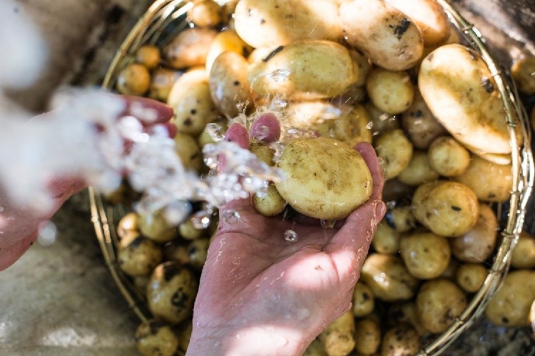 comment laver les pommes de terre