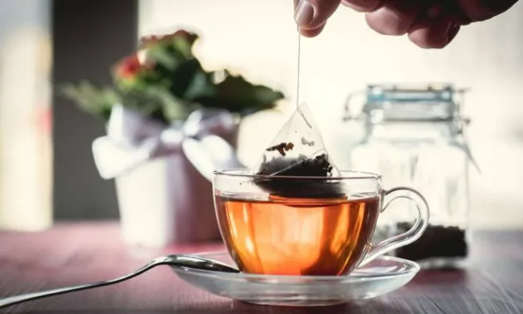 comment réutiliser les sachets de thé au jardin 2022 