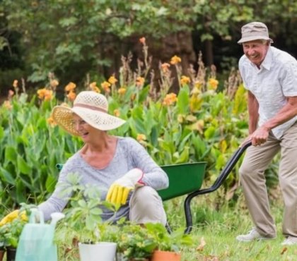 les bienfaits du jardinage prendre compte conditions physiques mentales liées âge