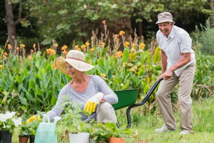 les bienfaits du jardinage prendre compte conditions physiques mentales liées âge