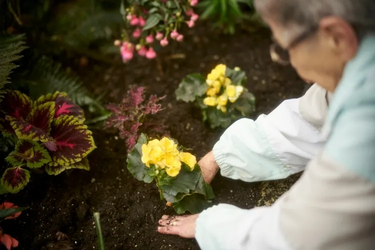 les bienfaits du jardinage sur la santé sol pollué substances chimiques menacer santé cardiaque