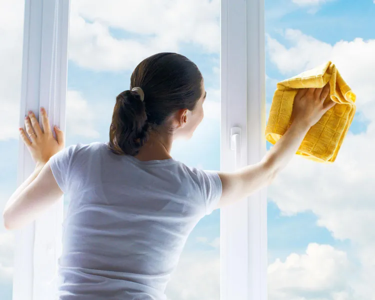 Cleaning windows with white vinegar 2022