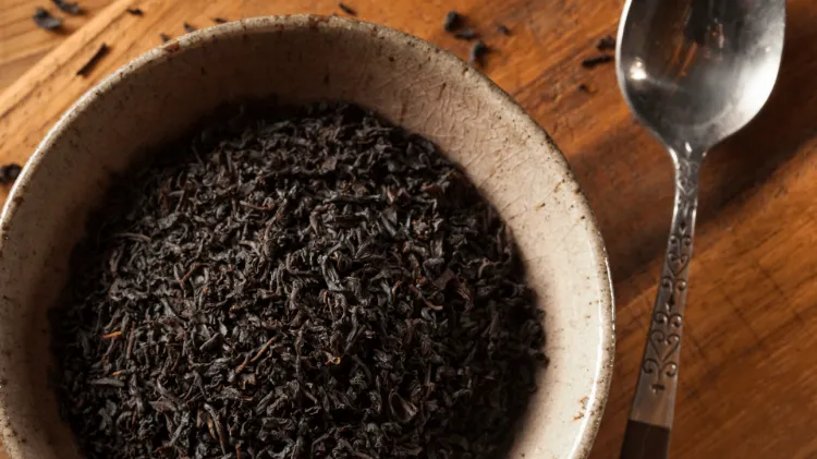quel thé pour perdre du poids feuilles thé noir oxydé riche cafféine