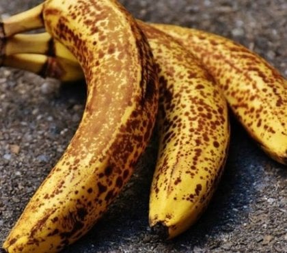 quelles solutions pour bien conserver les bananes 2022