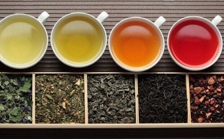 quels sont meilleurs thés pour perdre du poids blanc vert noir oolong pu reh
