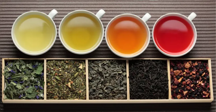 quels sont meilleurs thés pour perdre du poids blanc vert noir oolong pu reh
