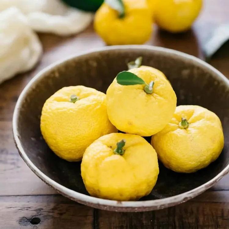 yuzu face care combination lemon wild mandarin grapefruit