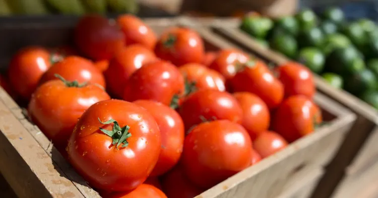 Comment servir les tomates