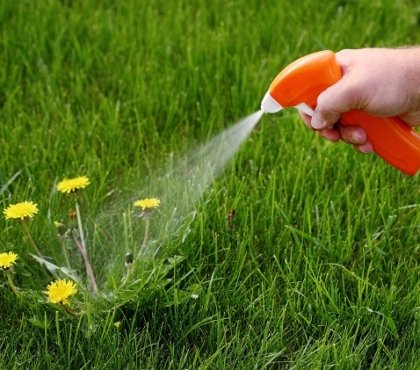 Comment se débarrasser des mauvaises herbes sans utiliser de produits chimiques