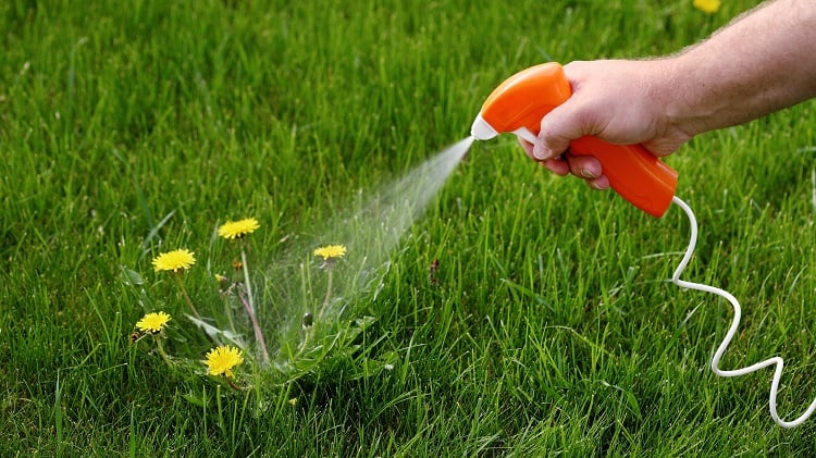 Comment se débarrasser des mauvaises herbes sans utiliser de produits chimiques