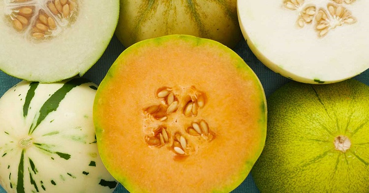 Connaitre les différentes variétés de melon pour bien choisir