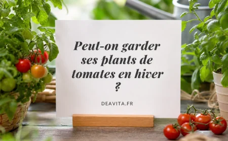 peut on garder ses plants de tomates en hiver