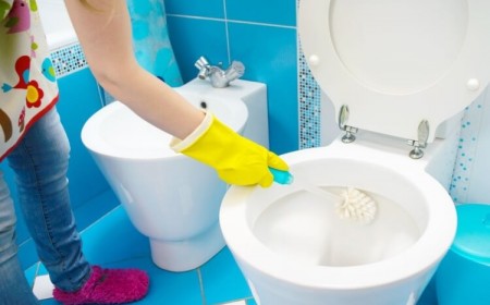 astuce pour blanchir cuvette wc