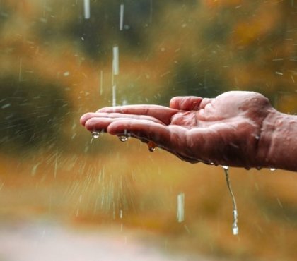 boire eau de pluie oui ou non 2022