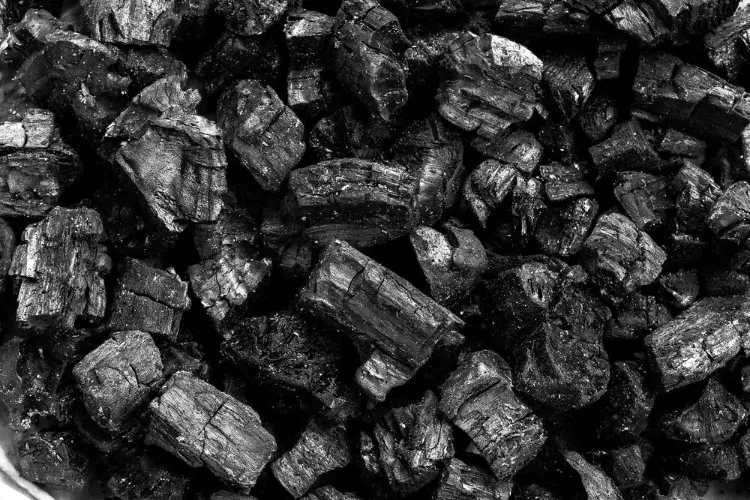 charbon solution naturelle 