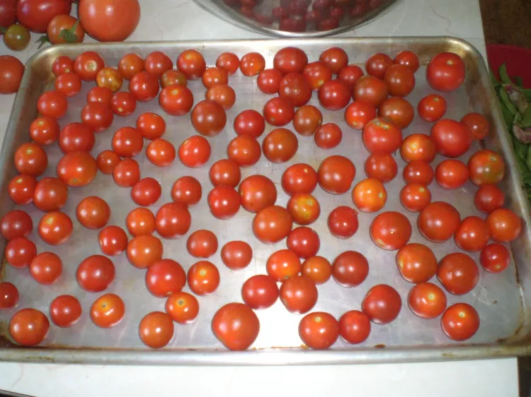 comment congeler tomates fraiches avec peau préserver gout plat four