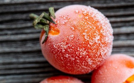comment congeler tomates fraiches avec peau préserver vitamines gout