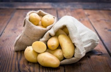comment conserver des pommes de terre en 2022