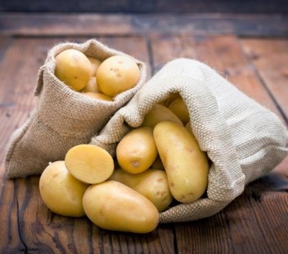 comment conserver des pommes de terre en 2022