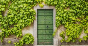 comment éliminer le lierre sur le mur de votre habitation 2022
