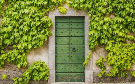 comment éliminer le lierre sur le mur de votre habitation 2022