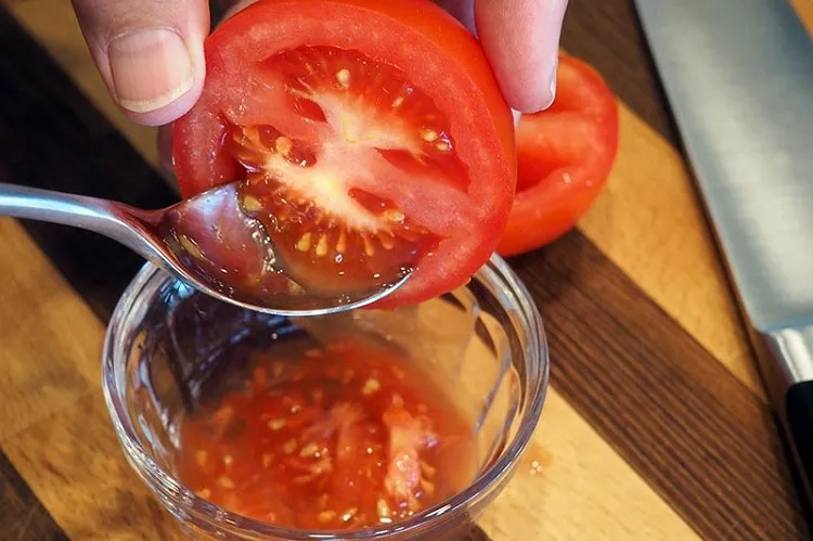 how to remove pulp from tomatoes