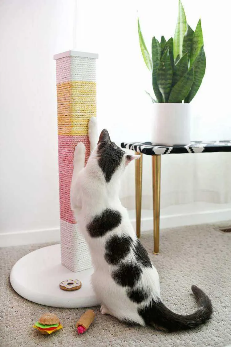 comment fabriquer un griffoir pour chat poteau à gratter que les animaux adorer