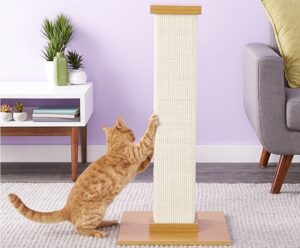 comment fabriquer un griffoir pour chat poteau à gratter que votre minou adorera
