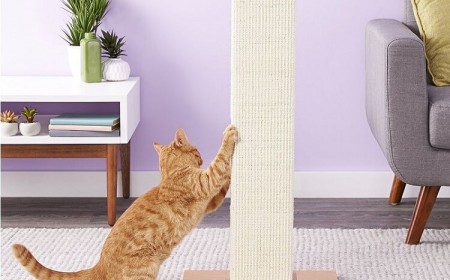comment fabriquer un griffoir pour chat poteau à gratter que votre minou adorera