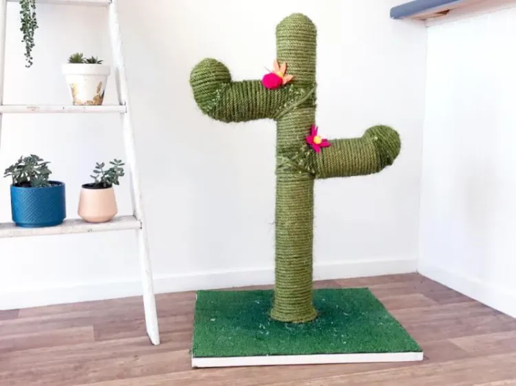 comment fabriquer un griffoir pour chat poteau tuyaux plastique décoré cactus