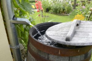 comment rendre une eau de pluie potable