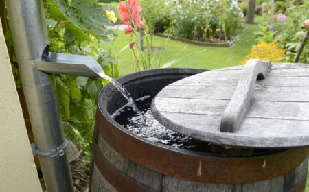 comment rendre une eau de pluie potable