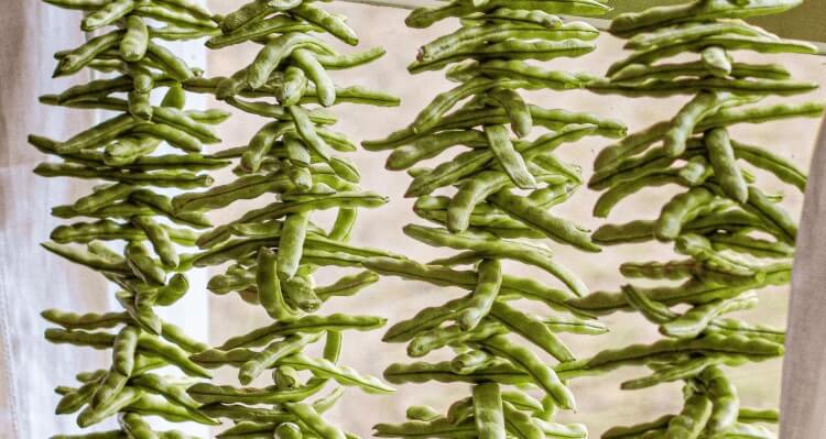 comment sécher les haricots verts enfiler corde solide mètre longueur