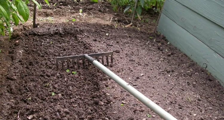 comment semer gazon sans rouleau quand faire nouvelle pelouse regarnir ratissage