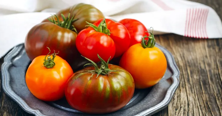 comment servir les tomates 2022