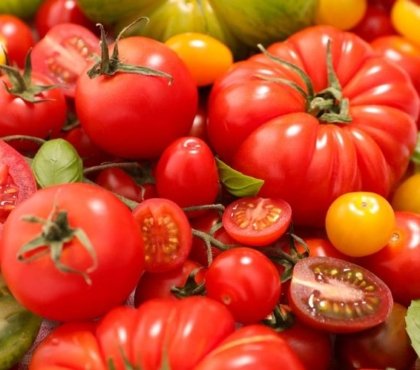 comment servir les tomates en 3 recettes 2022