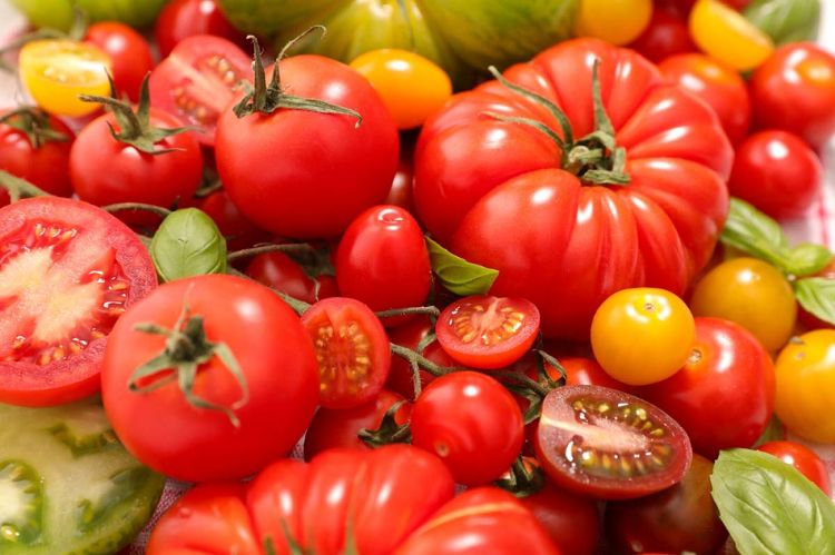 comment servir les tomates en 3 recettes 2022