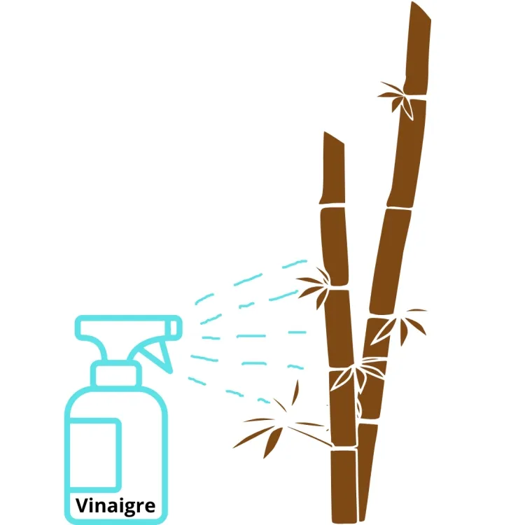 comment tuer des bambous naturellement vinaigre
