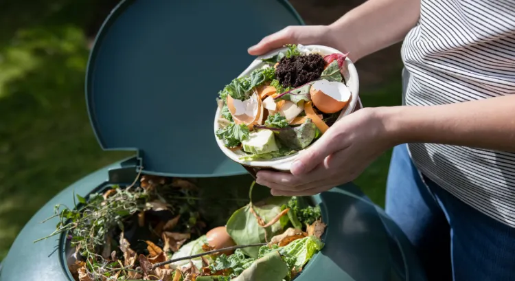 compostage obligatoire comment se lancer 2022 
