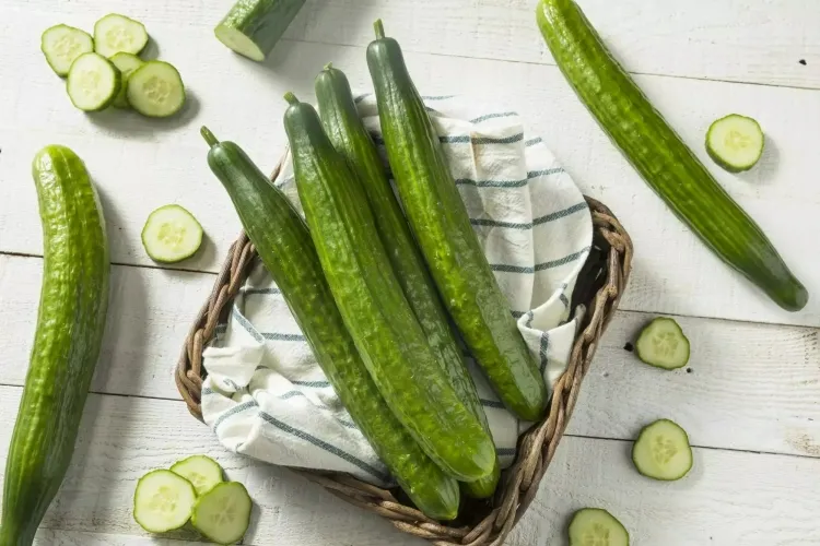 cooking vegetables cucumbers water content makes cold soups salads popular