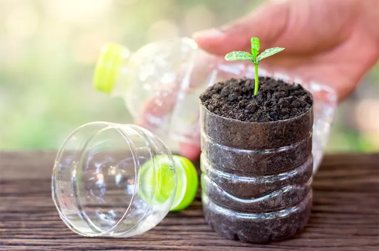 fabriquer mini serre de jardin bouteilles en plastique 2022