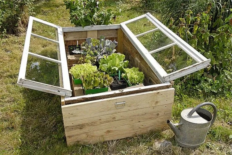 fabriquer une mini serre de jardin 2022