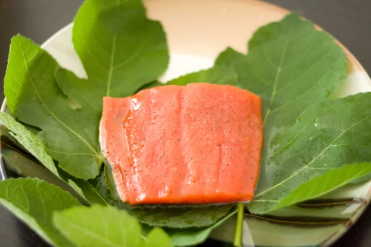 salmon fillet baked fig leaves easy recipes 20 minutes