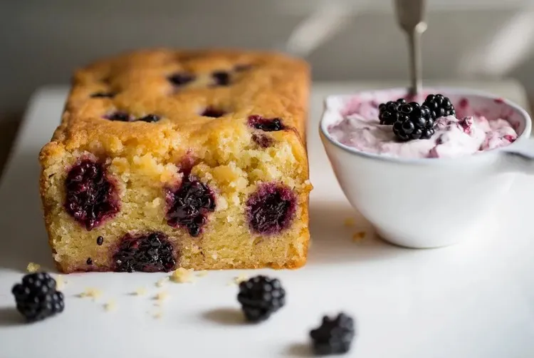 Soft cake with wild blueberries, a fresh dessert for summer, an easy recipe