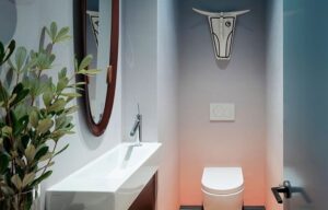 idée déco salle de bain avec toilettes originales 2022
