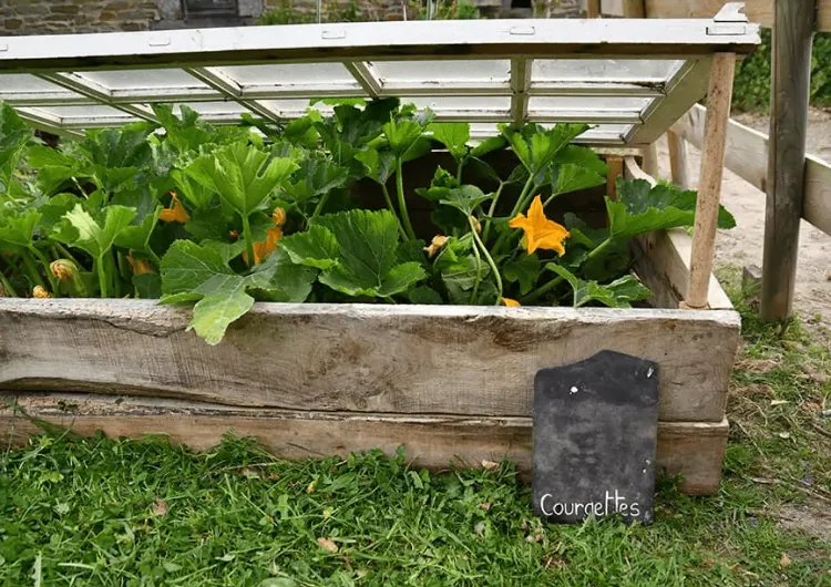 Fabriquer une mini serre de jardin