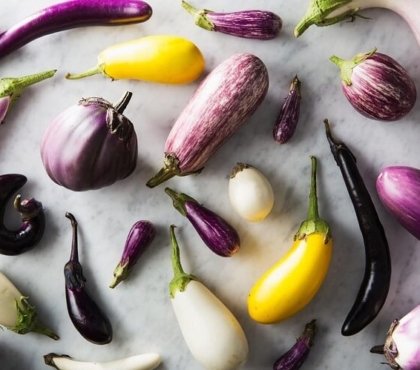 peut on congeler des aubergines crues cuites comment faire réussir congélation