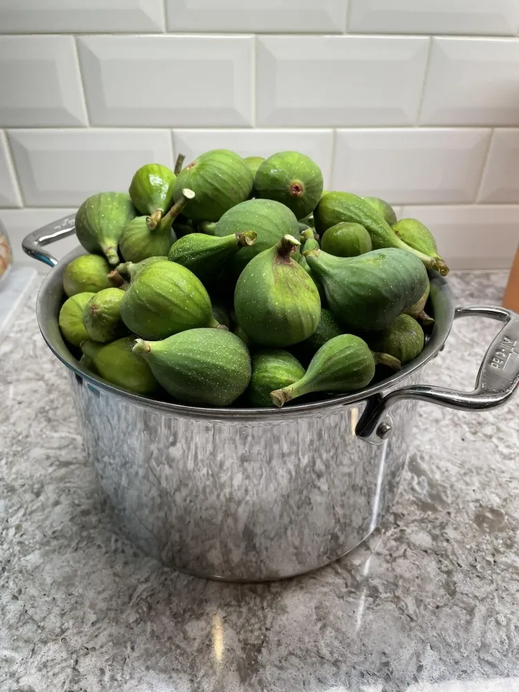 que faire avec des figues vertes faire confiture garnir crêpes bouillonner goût amer