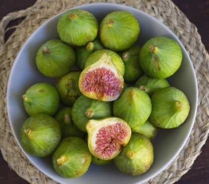 que faire avec des figues vertes inclure recettes estivales diversifier menu
