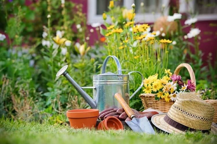 que planter en septembre